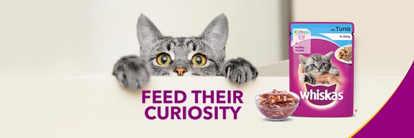 WhiskasIndia Profile Banner