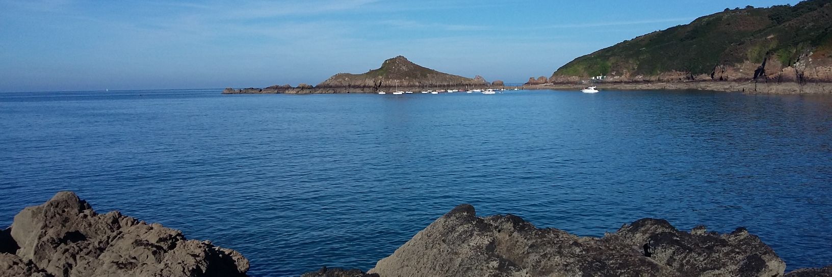 Renaud FRANCOMME banner