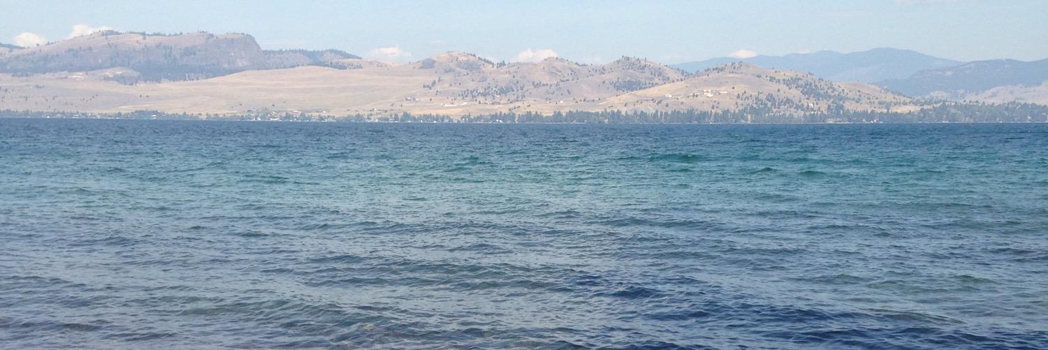 abibree's profile banner image