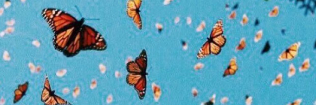 Mikhaila Leech banner