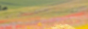 ll_j2_'s profile banner image
