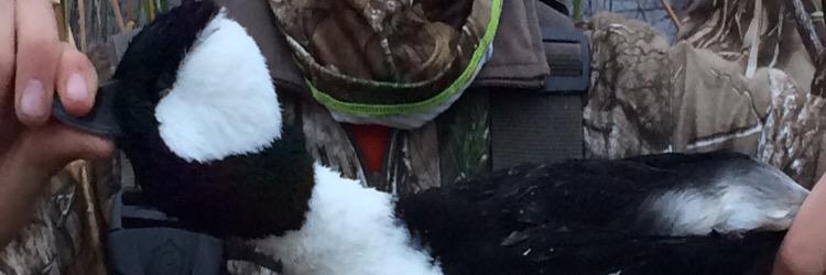 trey_parduer's profile banner image