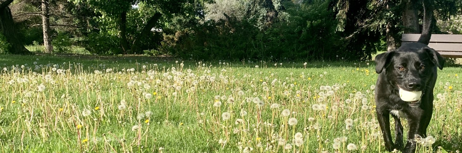 Kayla  Fitzpatrick banner