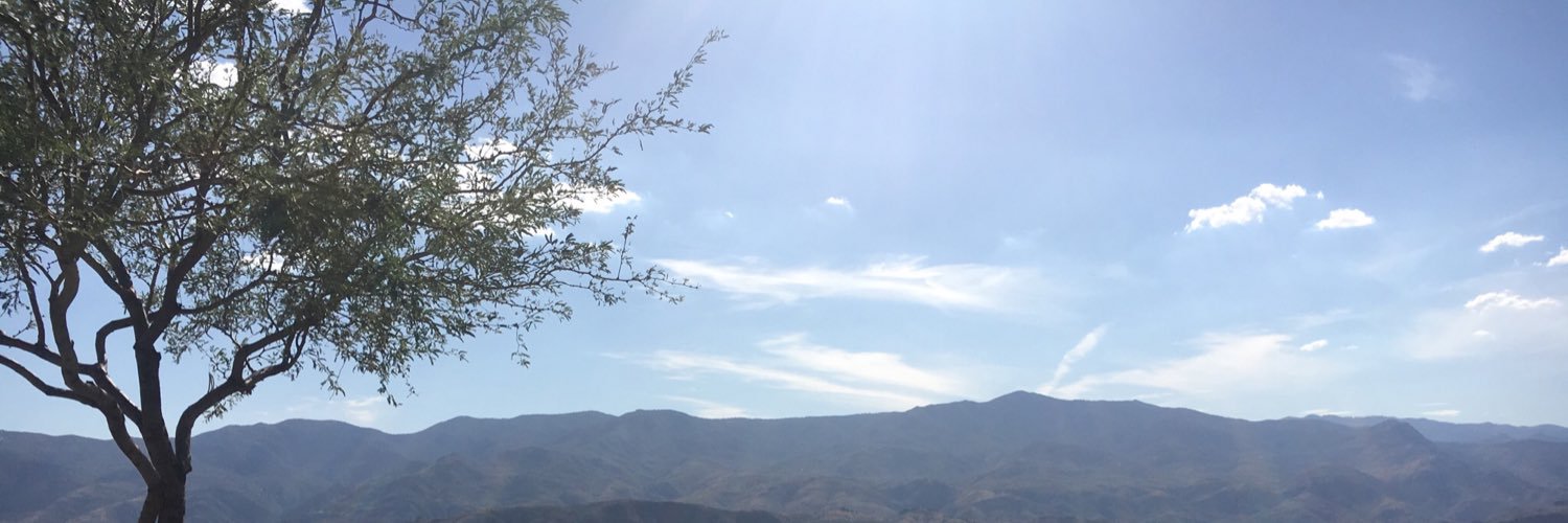 David Balzarini banner