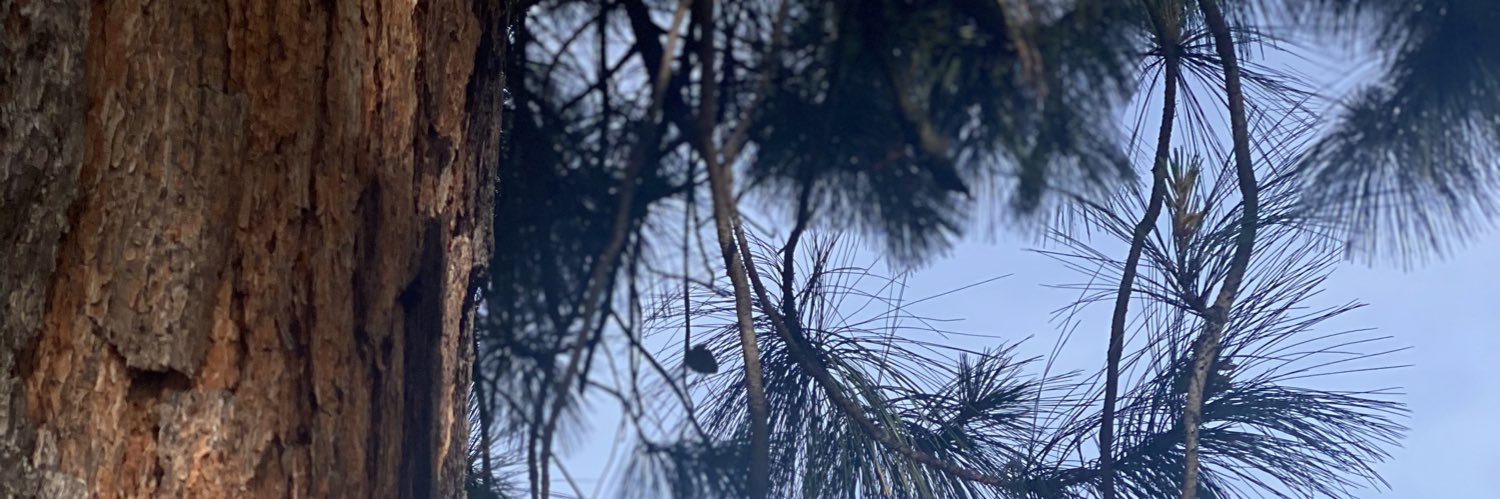 johnber8a's profile banner image