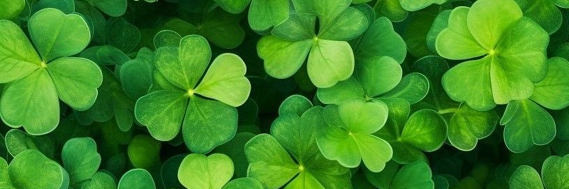 TofuuuuuBasssss banner