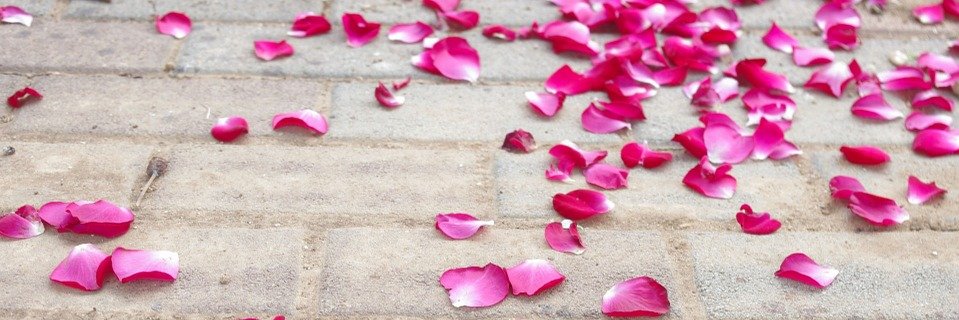 310_7e's profile banner image