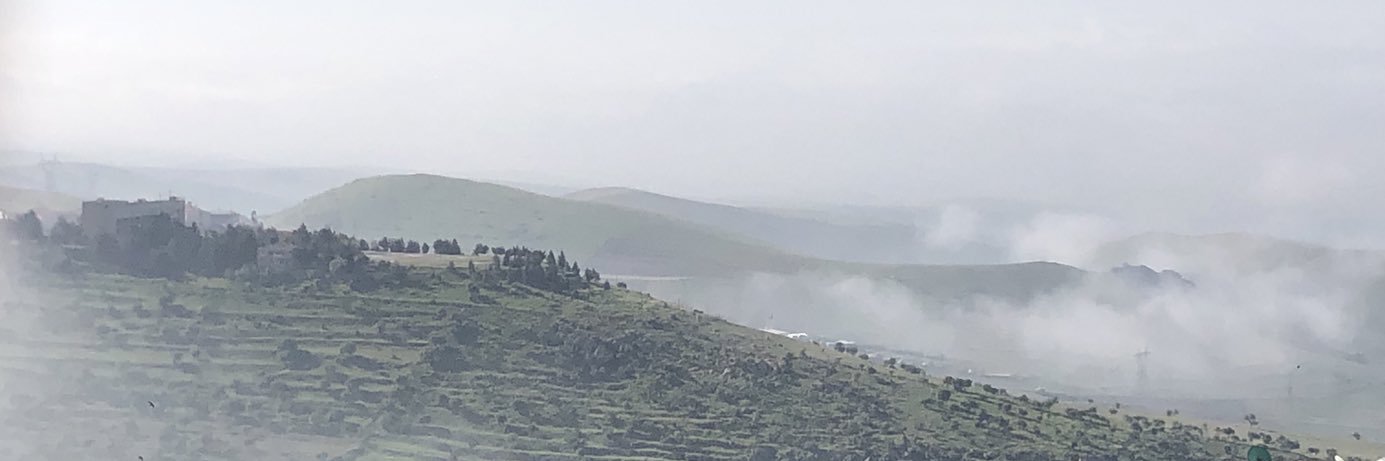 Seda Akço banner