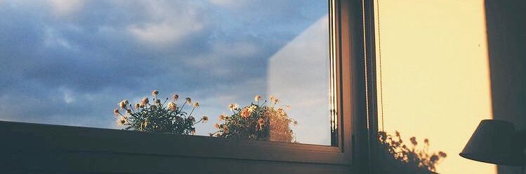 _barabow_'s profile banner image