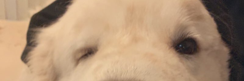 mikeycearley's profile banner image