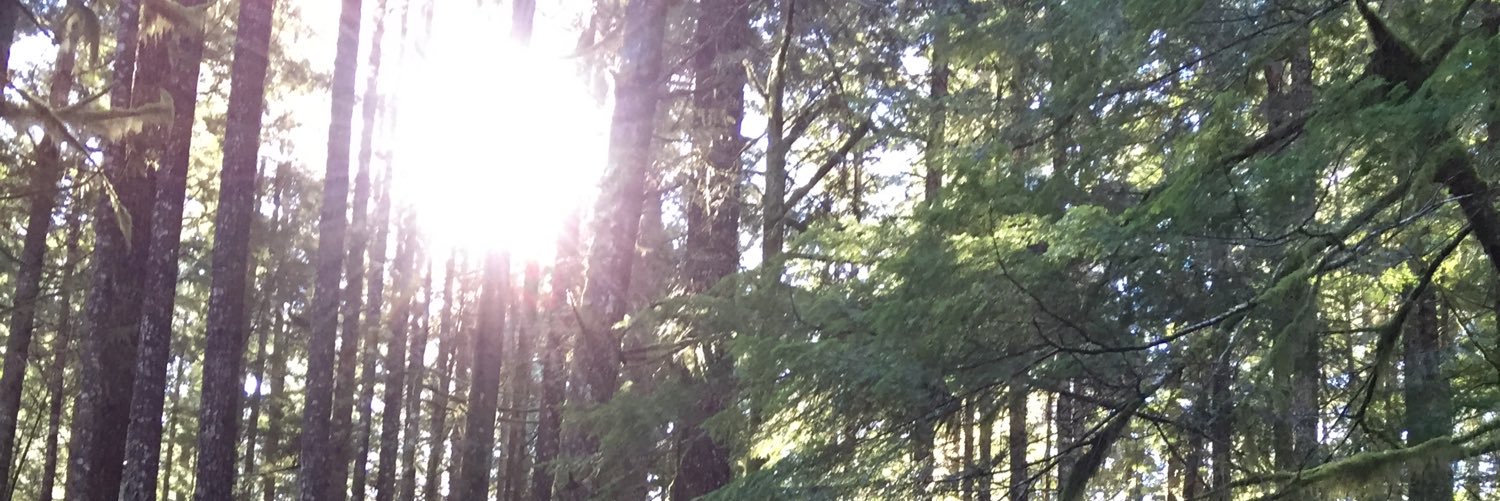 Jade Constantineau banner