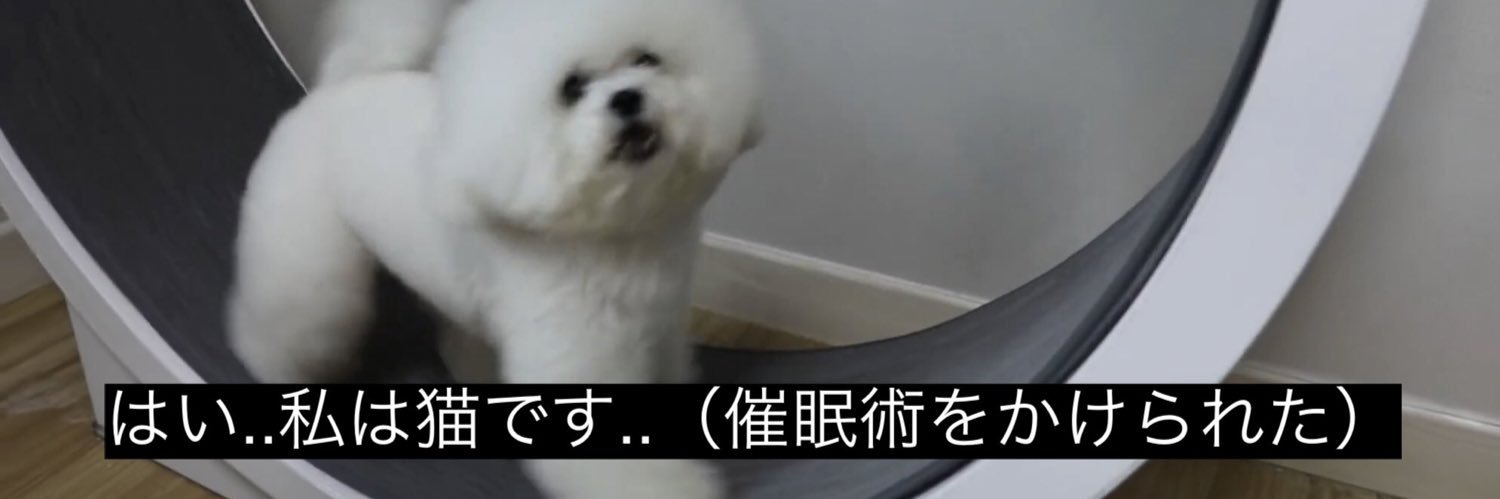 dedofbarusan's profile banner image