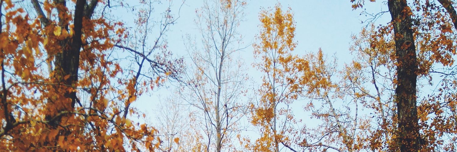 elliesteeez's profile banner image