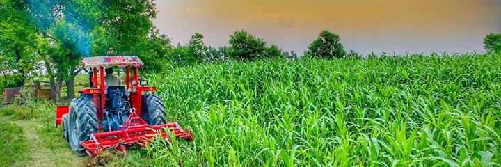 ZakaQ's profile banner image