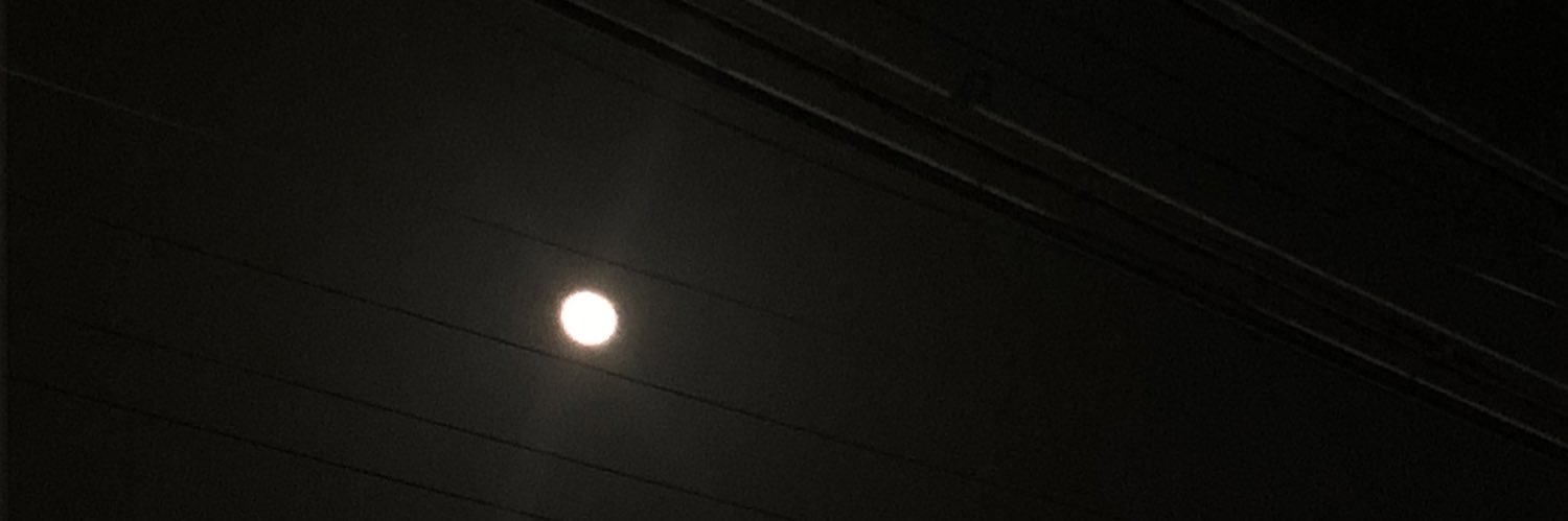 SS_RR__'s profile banner image