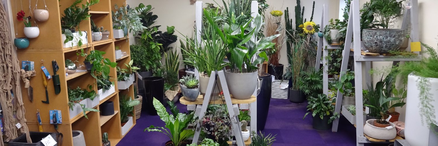 leafitstore's profile banner image