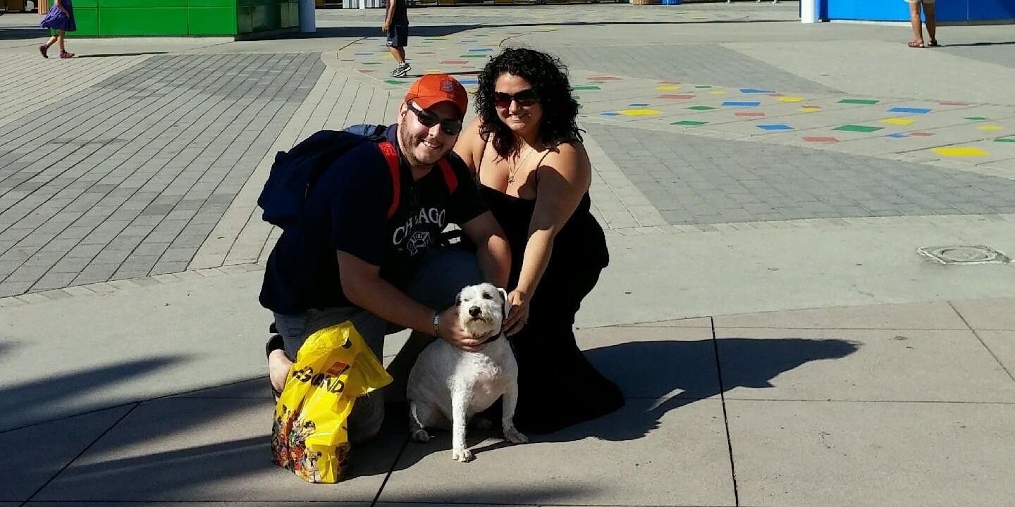 Mom_of3Dogs's profile banner image