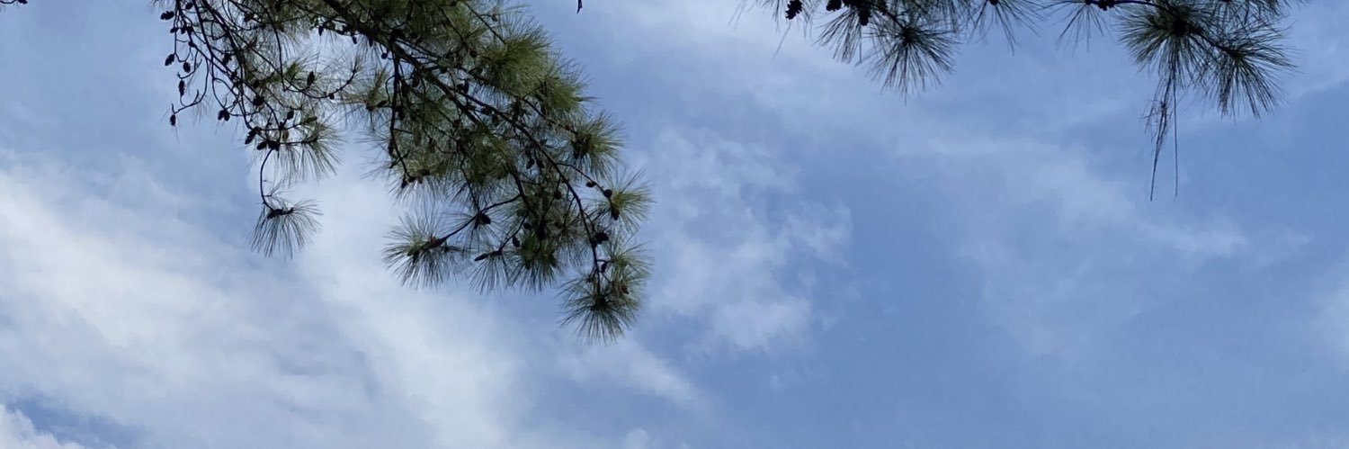 icadddssss's profile banner image