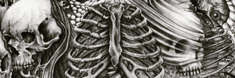 biskuitskull's profile banner image