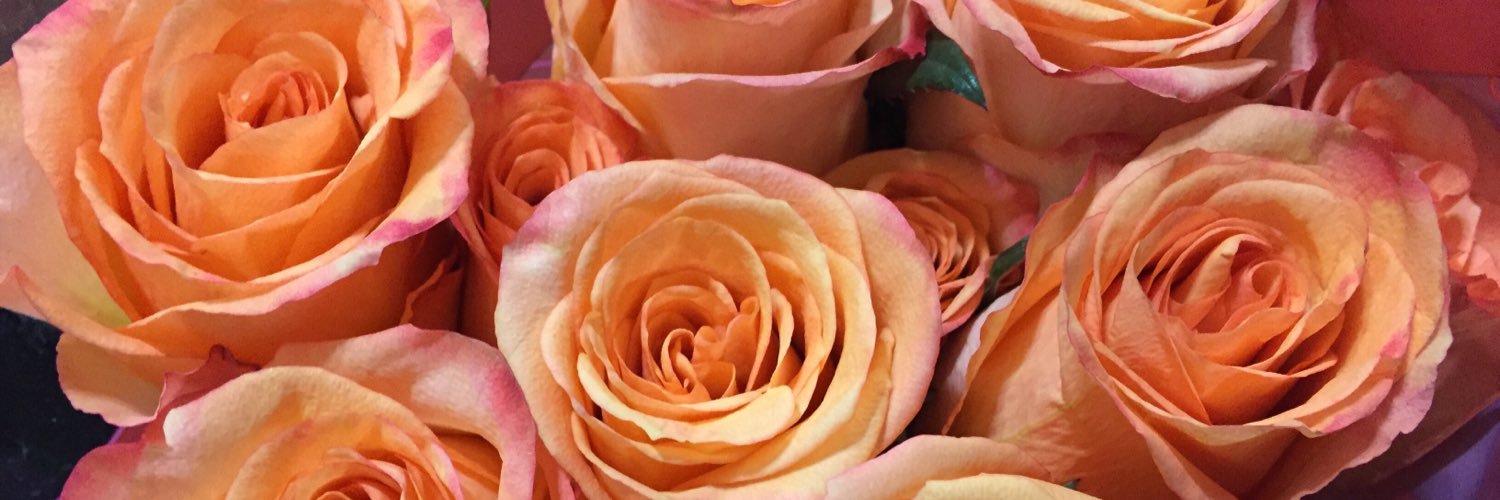 kimthongdit's profile banner image