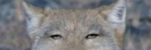 gunkantama's profile banner image