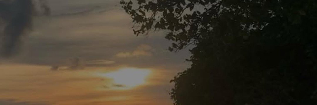 errorwooop's profile banner image