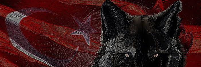 BatuhanGrl's profile banner image