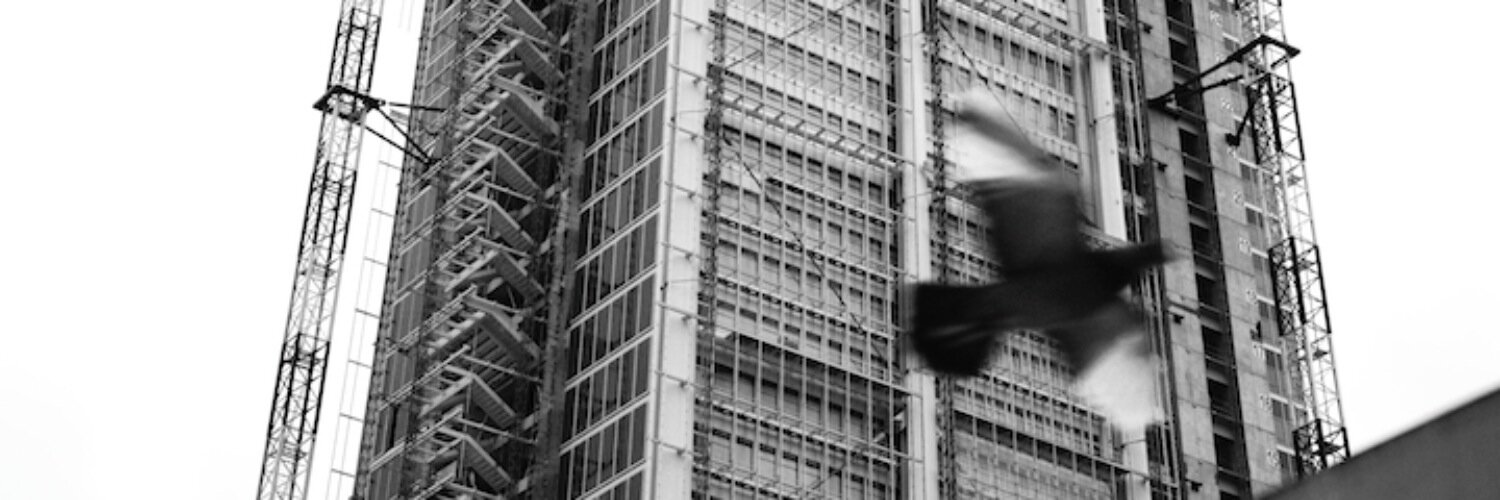 Lucoprofene's profile banner image
