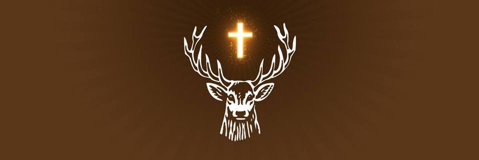 CapdeKiwi's profile banner image