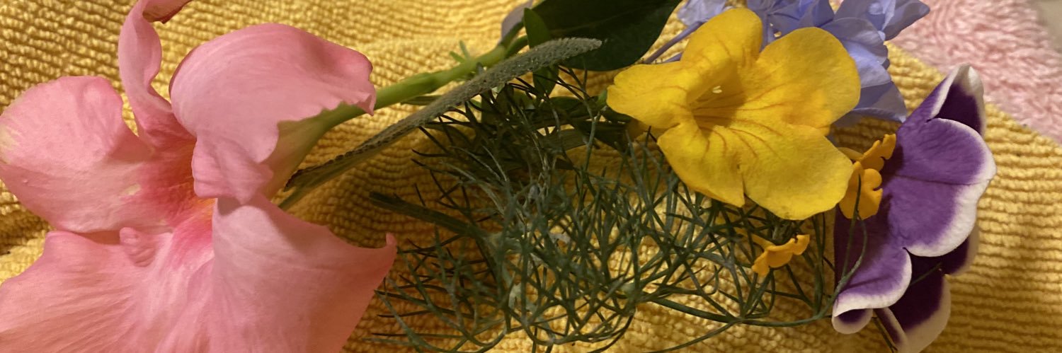 thanksbutstop's profile banner image