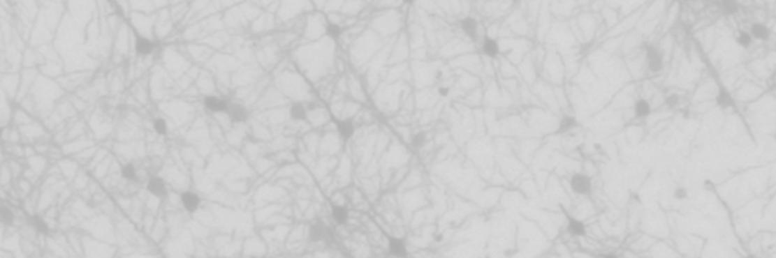 Panglab@Rutgers banner