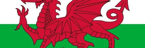 annjsimpson61's profile banner image