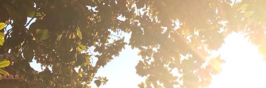 inorash9's profile banner image