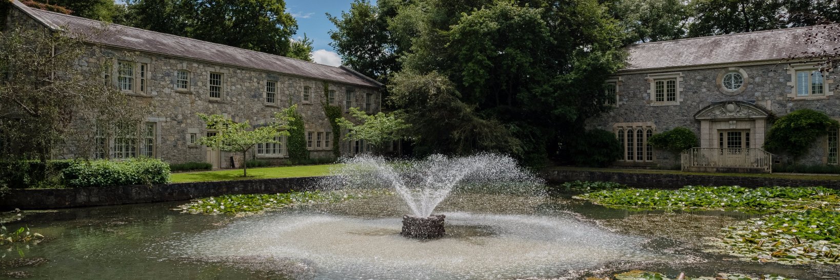 Cliff at Lyons banner