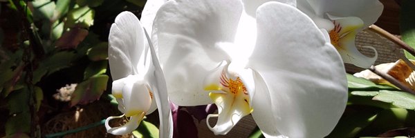 taketime4me Profile Banner