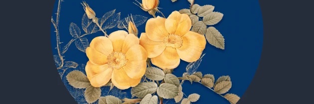 Bryelbee's profile banner image