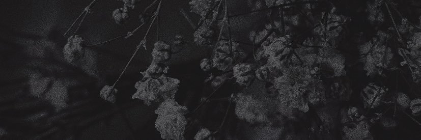 Aeo Nik banner