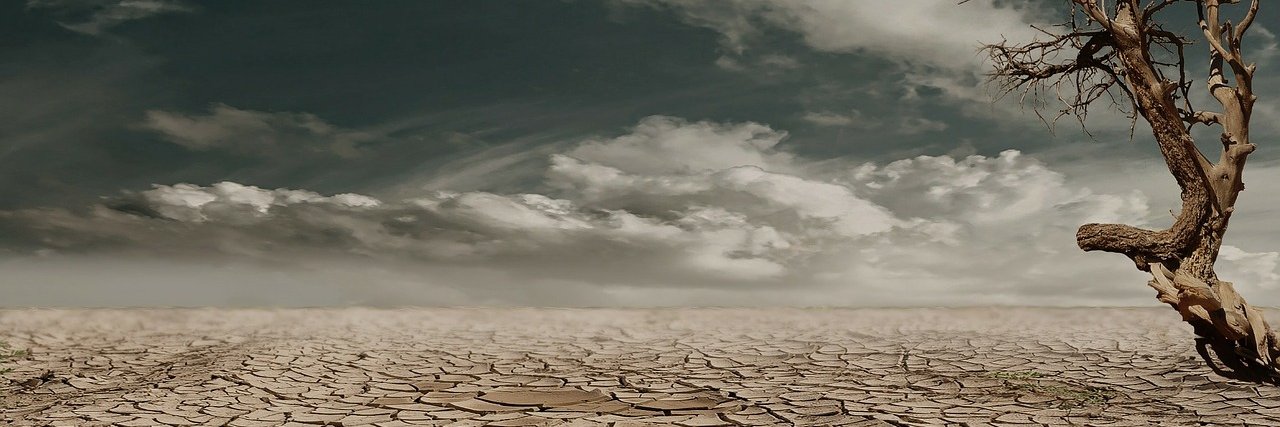 DeTyfus's profile banner image