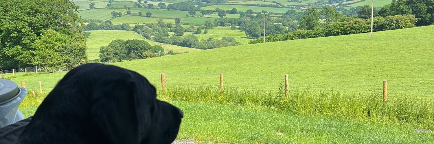 Teresa clark (she/her) banner