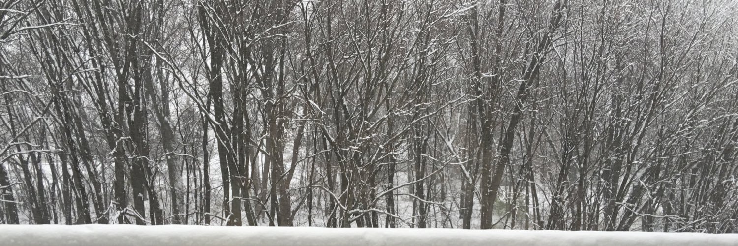Maddcat21's profile banner image
