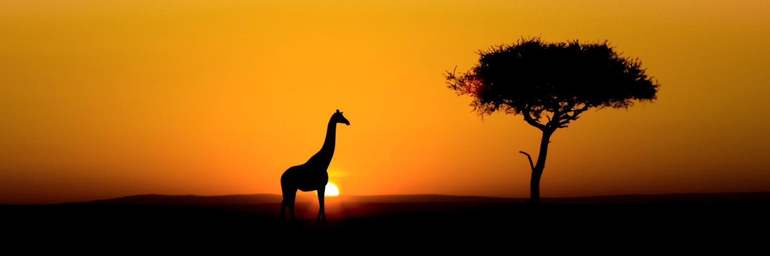 Wildlife Photography banner