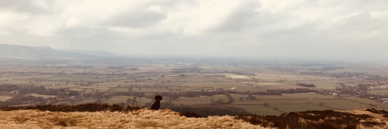 Johnny90s's profile banner image