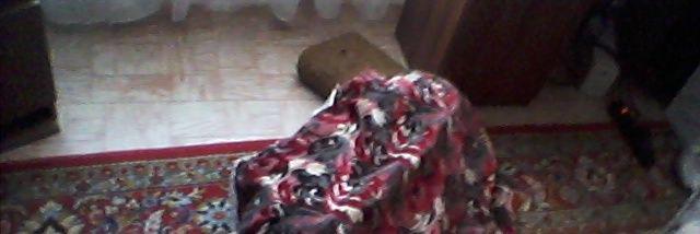 Усы, как у ёбаной лисы banner