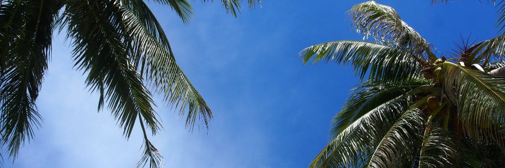whoneedsshoes's profile banner image