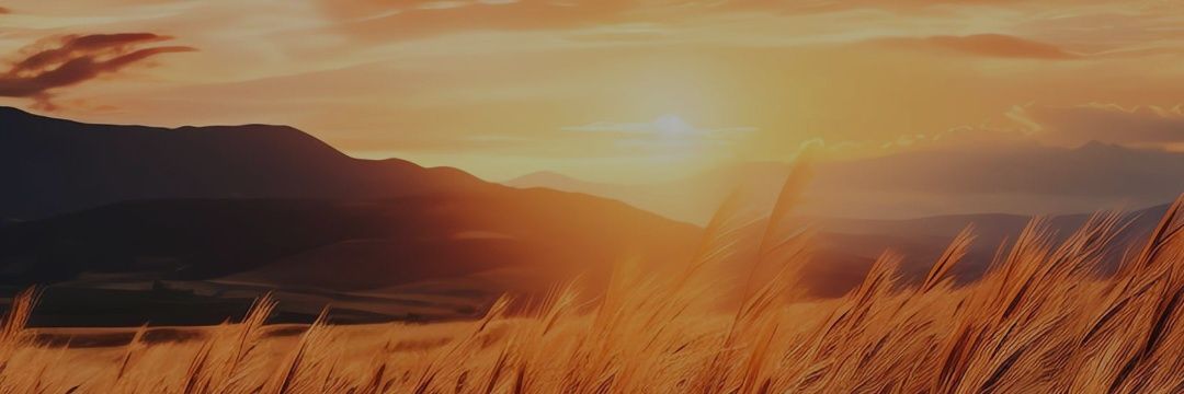 hewfevv's profile banner image