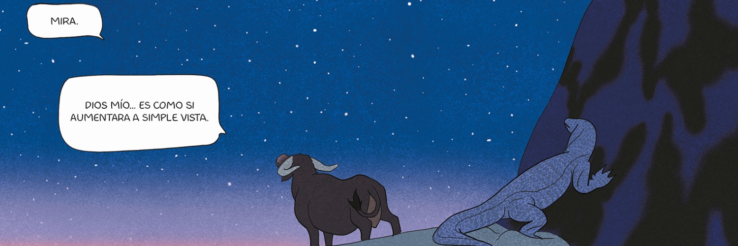 Barbara Fiore Editora banner