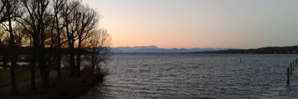 gardara's profile banner image