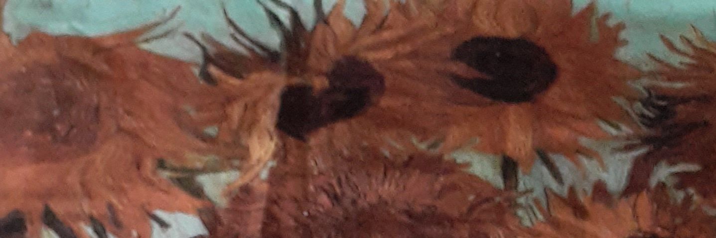 CapouchJust's profile banner image