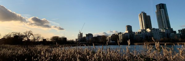 alexandraheal Profile Banner