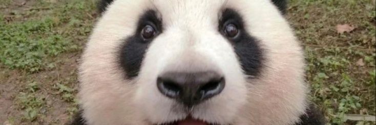 7Mo0ns's profile banner image